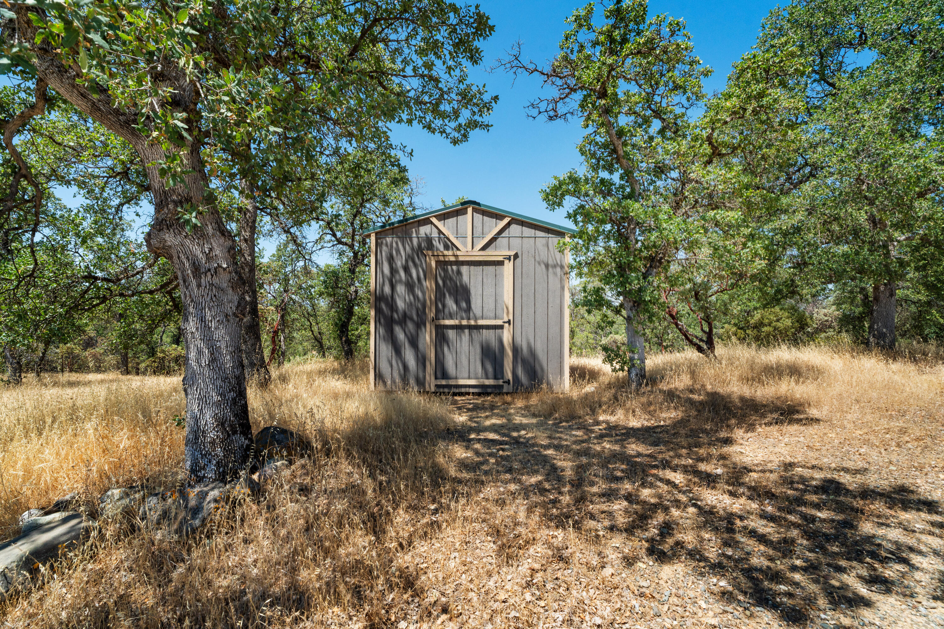 16720 Blue Oak Road Cottonwood, CA 96022 - Photo 33 of 35 a view of a yard with large tree