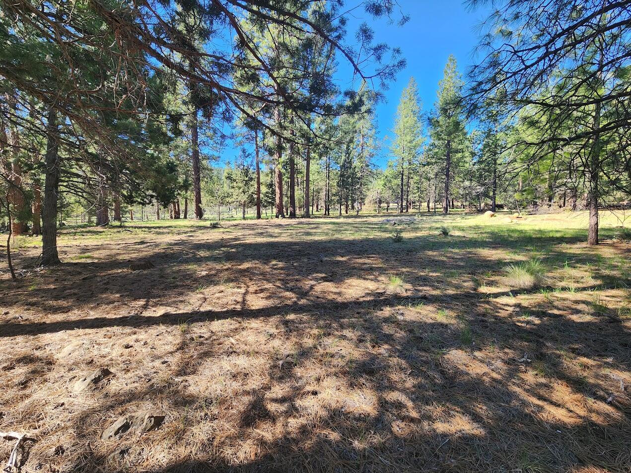 Hillcrest Road Klamath Falls, OR 97603 - Photo 14 of 21 18
