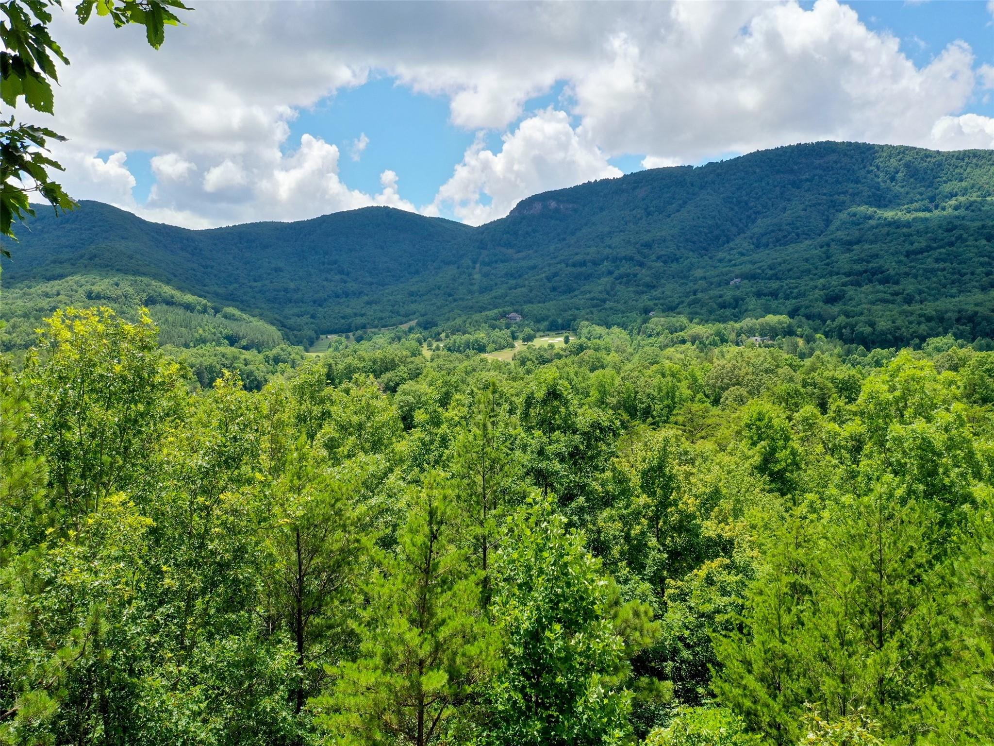 31 Deep Gap Farm Road East Mill Spring, NC 28756 - Photo 6 of 11 a view of a big yard with a mountain