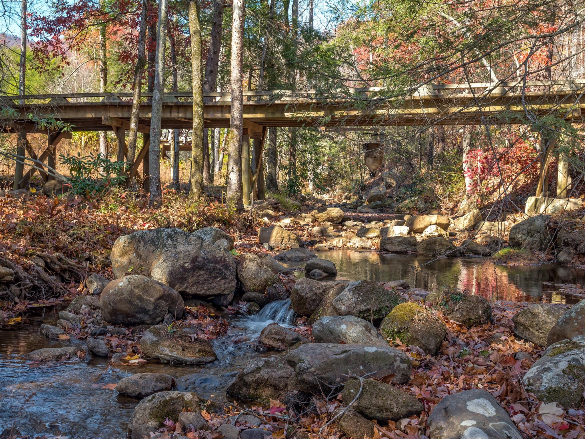 31 Deep Gap Farm Road East Mill Spring, NC 28756 - Photo 9 of 11 a view of lake