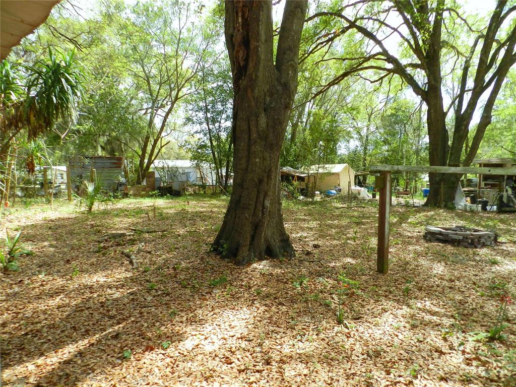 755 Southwest Jasmine Avenue Keystone Heights, FL 32656 - Photo 7 of 10