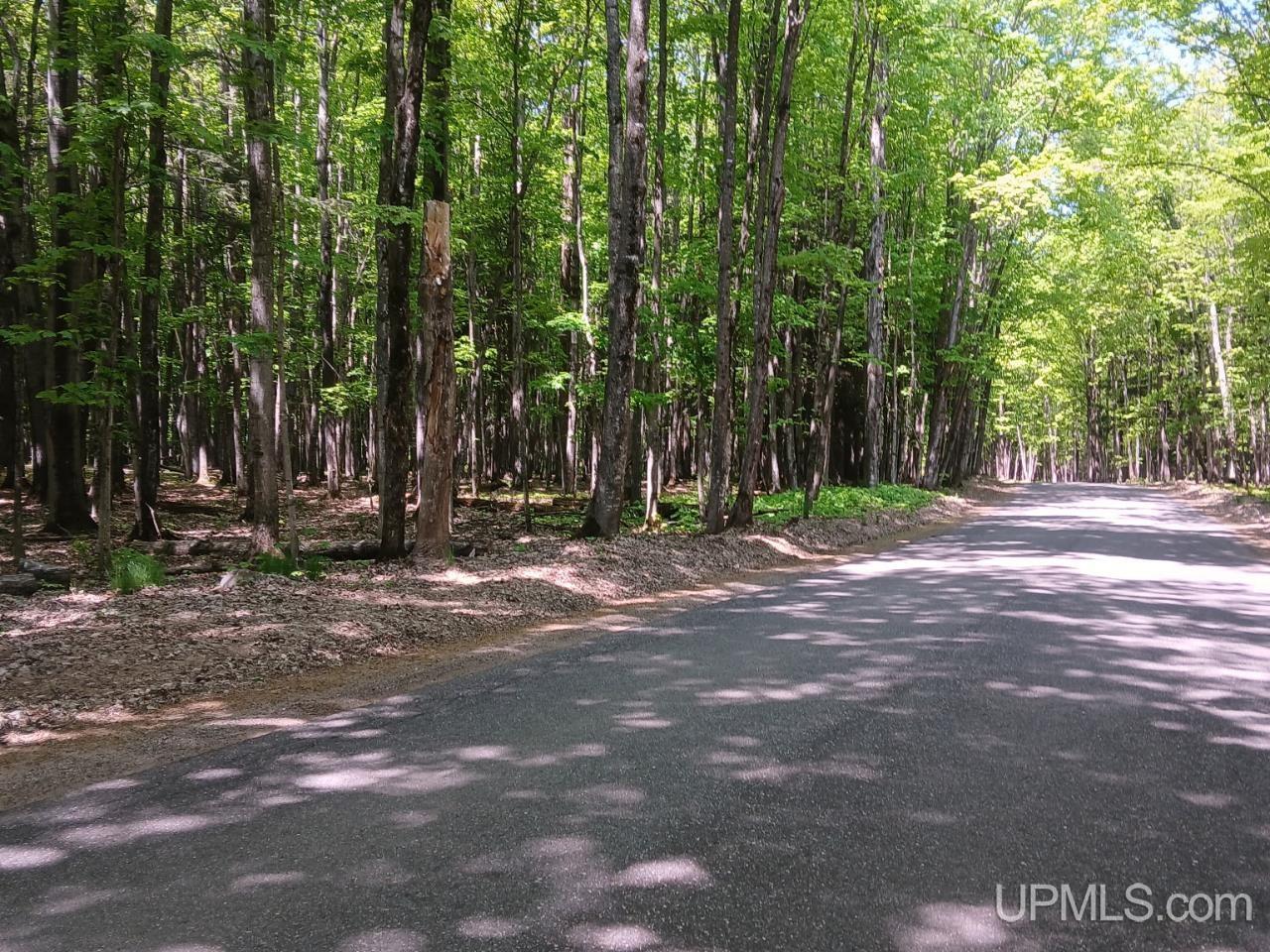 48-acres Cr Kk (huron Mountain Club Rd) Road Big Bay, MI 49808 - Photo 1 of 4
