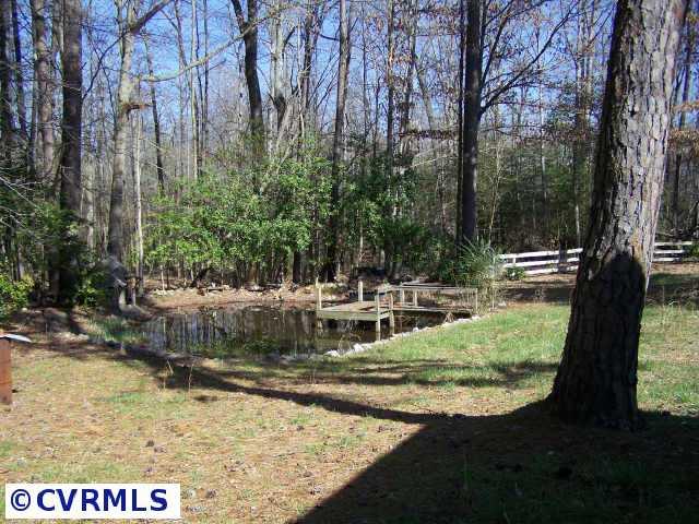 16501 Pole Run Road Disputanta, VA 23842 - Photo 3 of 6 Gallery Image 3