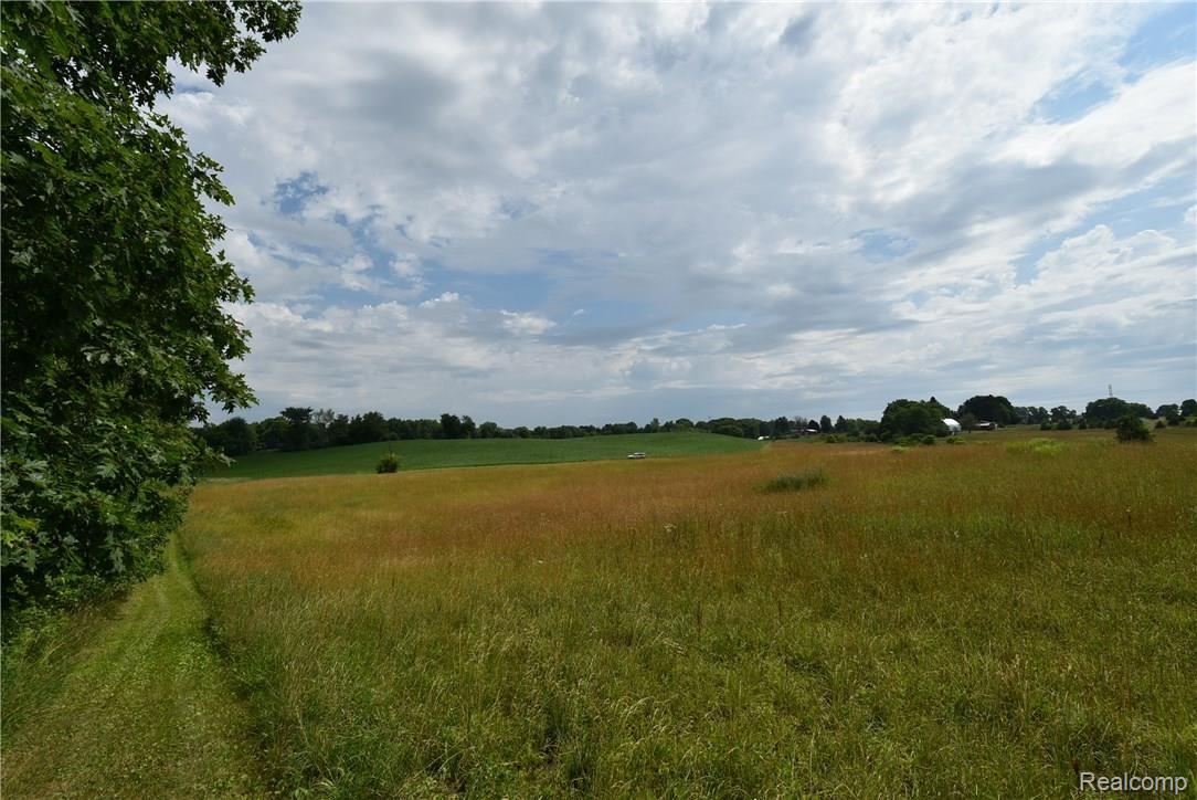 7196 Washburn Road Goodrich, MI 48438 - Photo 55 of 89 DSC_5876.JPG