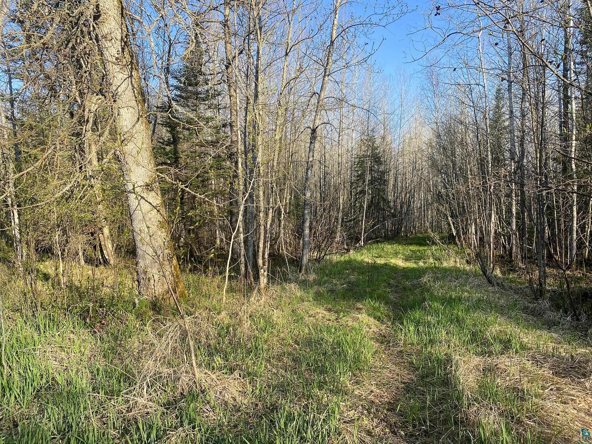 11092 Willow River Road Orr, MN 55771 - Photo 12 of 14