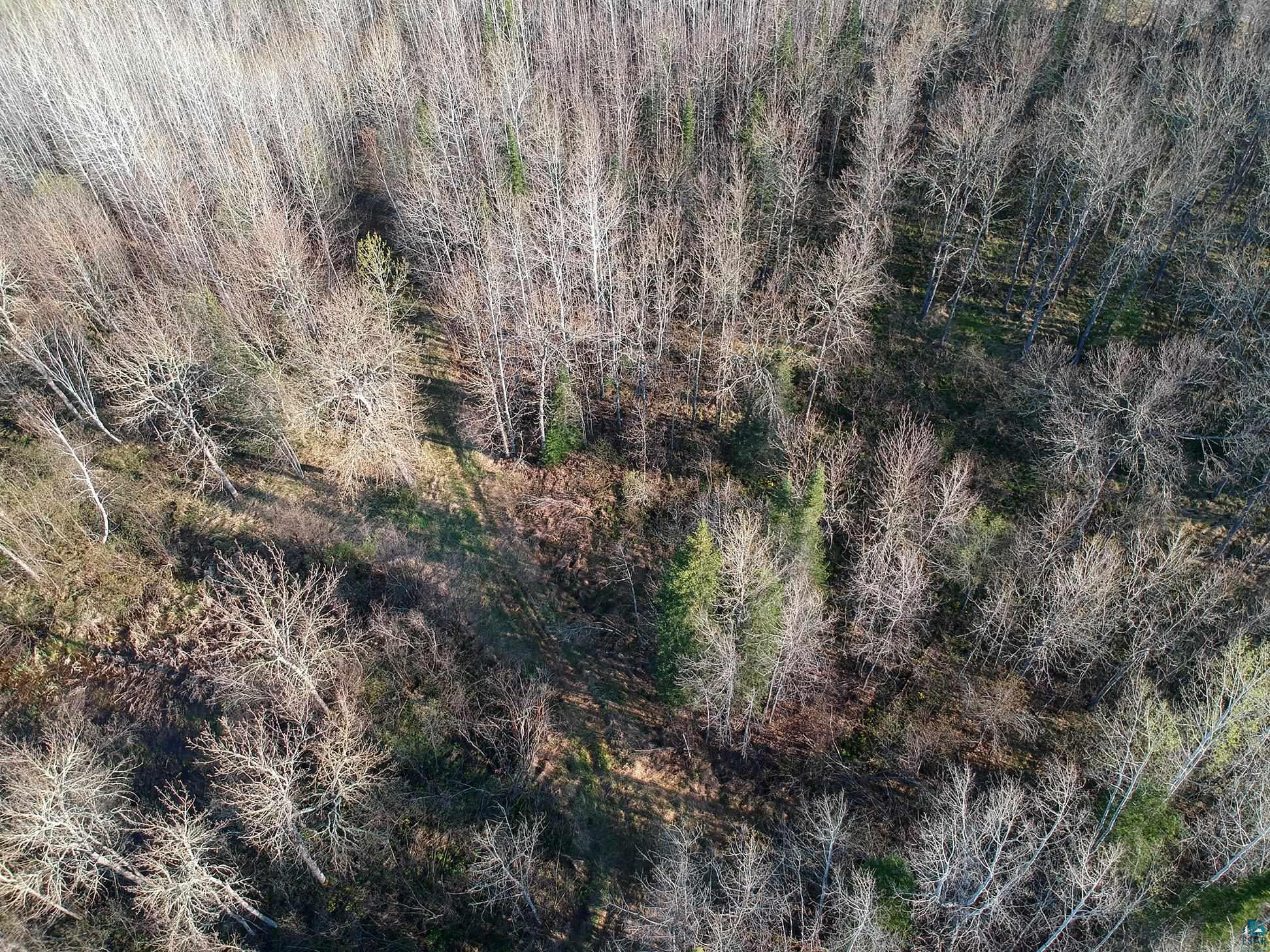 11092 Willow River Road Orr, MN 55771 - Photo 5 of 14