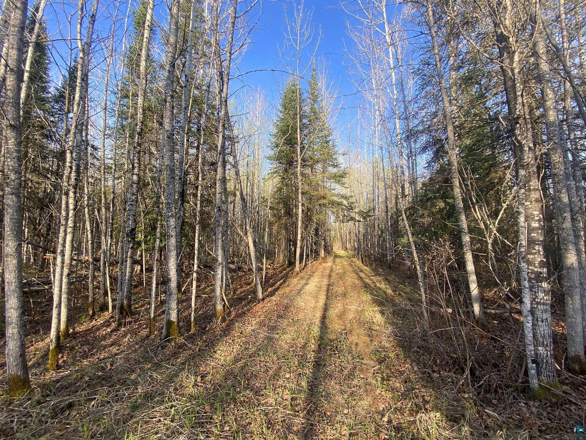 11092 Willow River Road Orr, MN 55771 - Photo 8 of 14