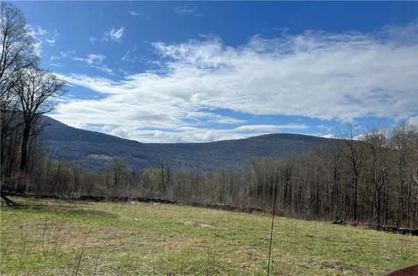 $149,000 | Vega Mountain Road, Denver, NY 12421