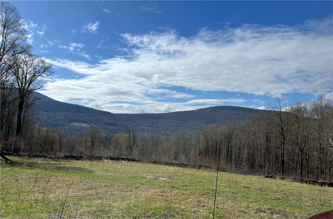 Vega Mountain Road Denver, NY 12421 - Photo 1 of 8 Beautiful Mountain Views