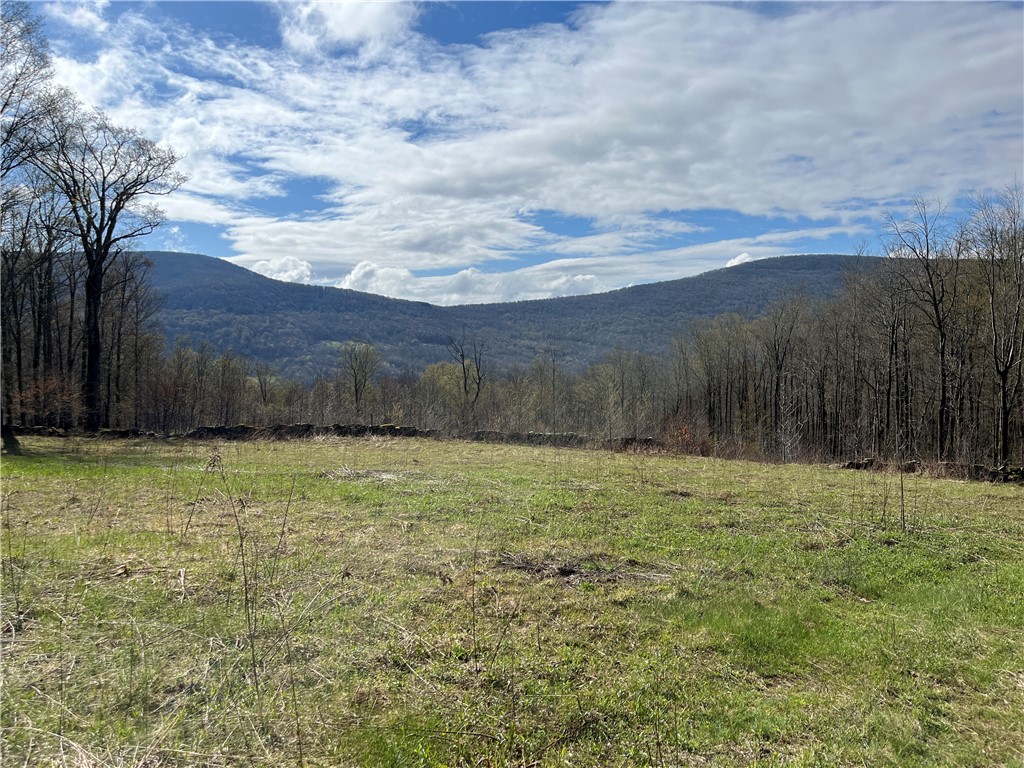 Vega Mountain Road Denver, NY 12421 - Photo 2 of 8 Cleared Land for Building