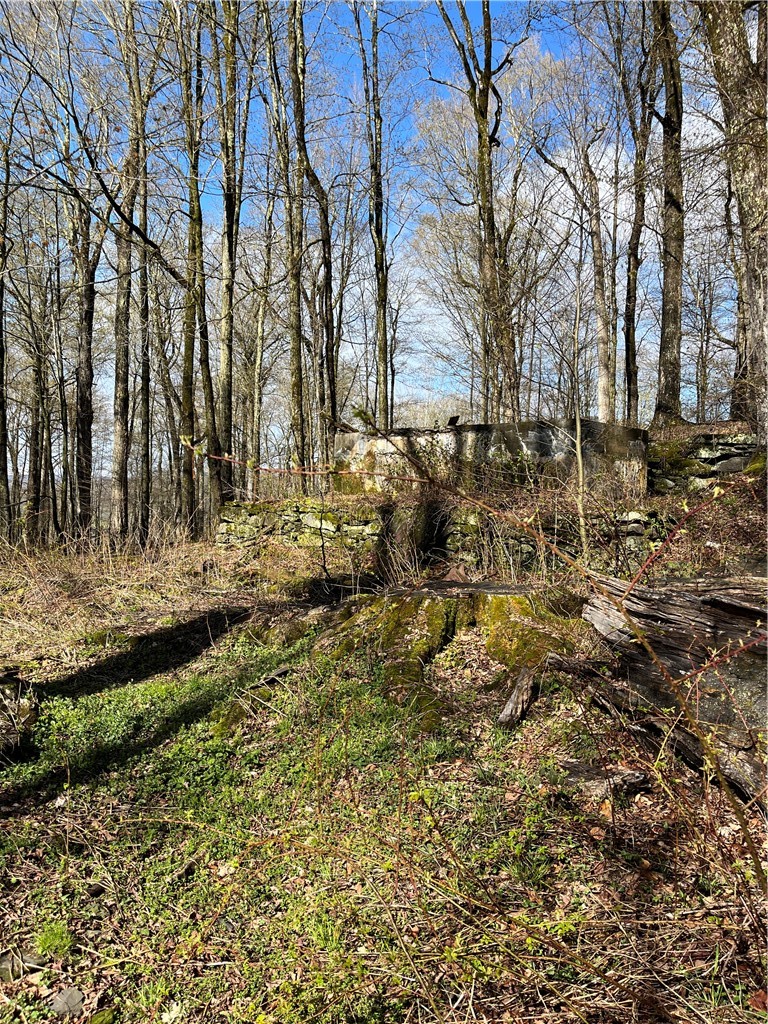 Vega Mountain Road Denver, NY 12421 - Photo 4 of 8 gently sloped land