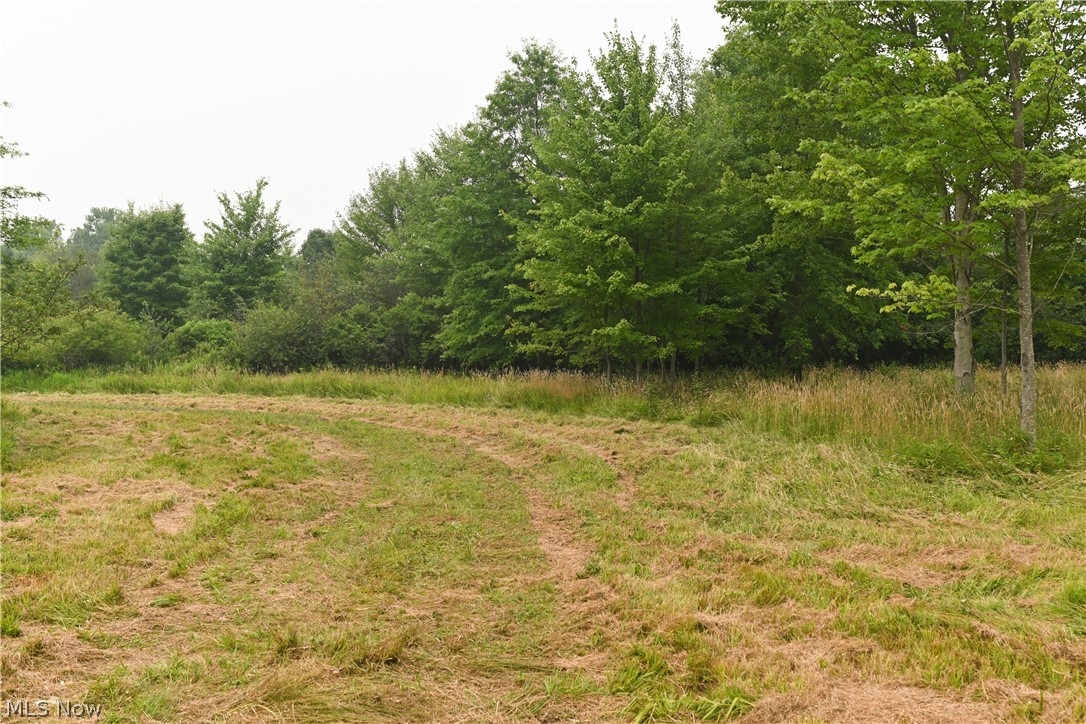 14 State Route Deerfield, OH 44411 - Photo 5 of 13 Gallery Image 5