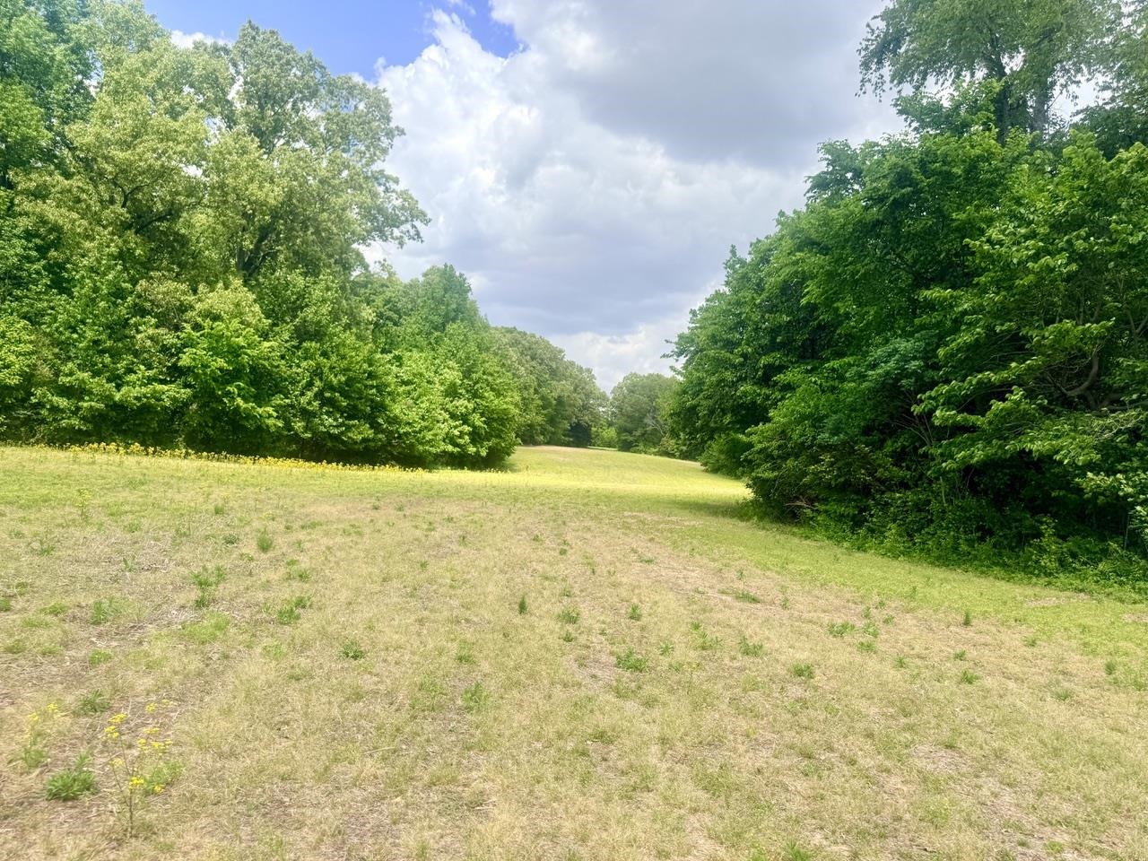 33 Plomar Williams Road Gadsden, TN 38337 - Photo 10 of 10