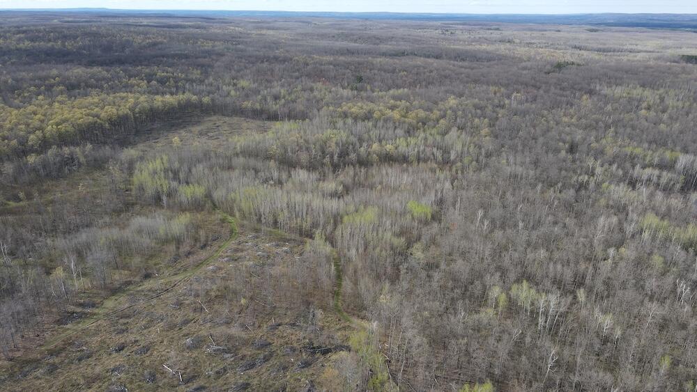 Vl Curtisville Road Mio, MI 48647 - Photo 20 of 141 DJI_0740