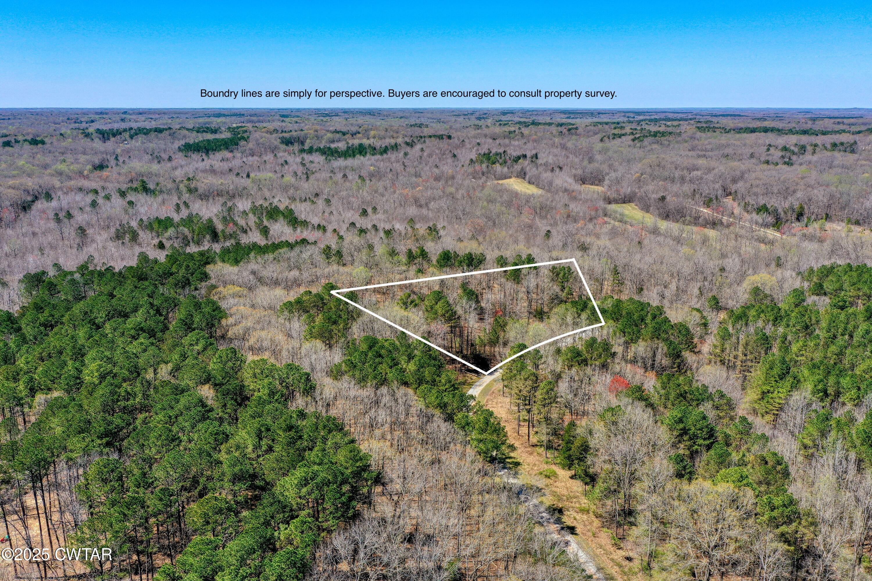 297 Zara Spook Drive Cedar Grove, TN 38321 - Photo 4 of 10 DJI_0960 boundry