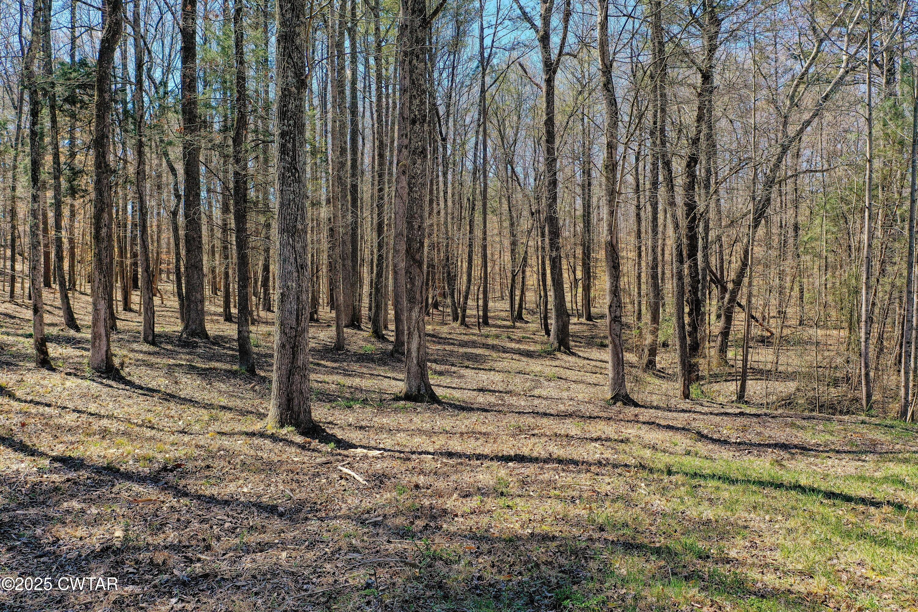 297 Zara Spook Drive Cedar Grove, TN 38321 - Photo 5 of 10 DJI_0975 RS1