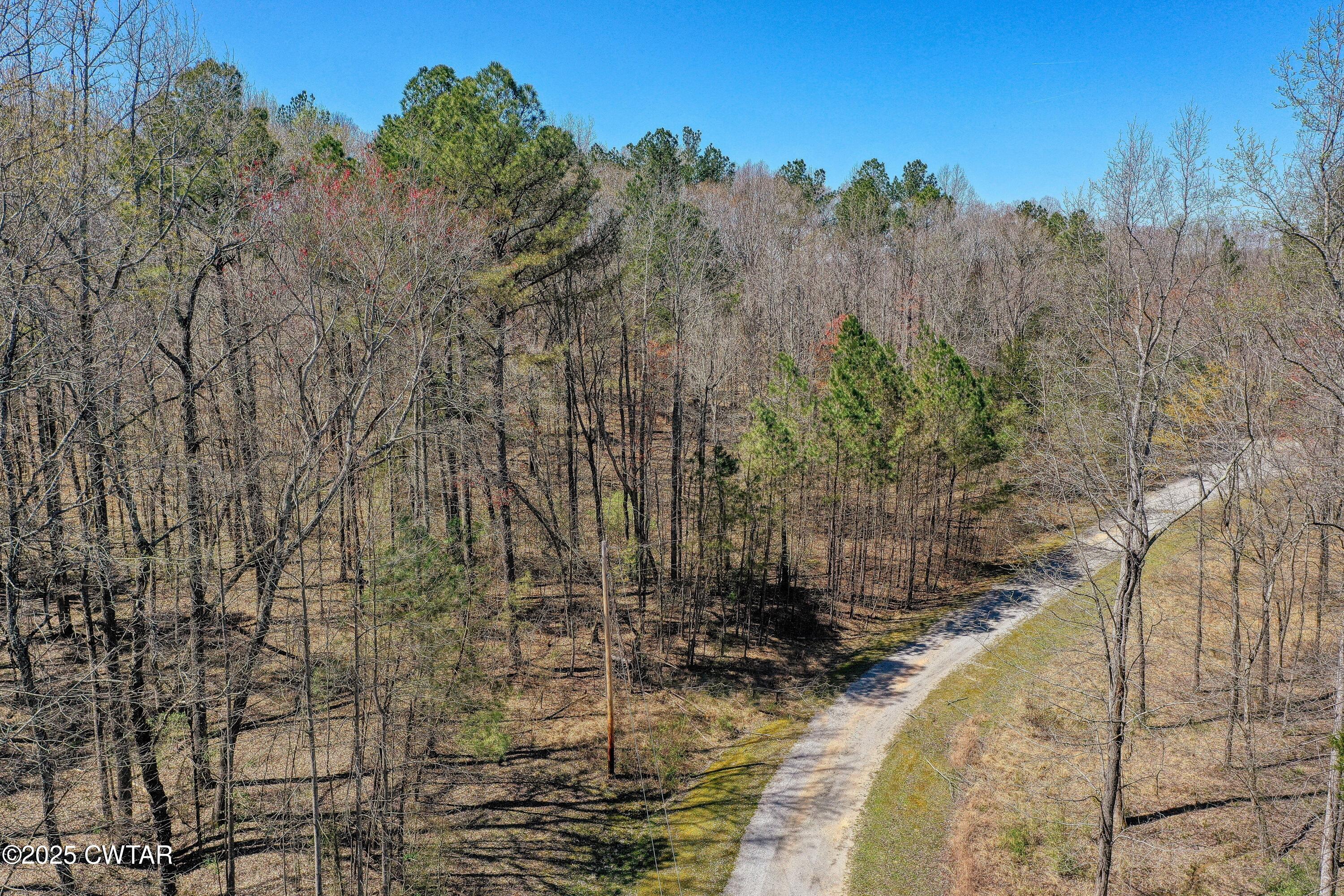 297 Zara Spook Drive Cedar Grove, TN 38321 - Photo 10 of 10 DJI_0967 RS
