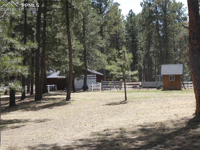 9185 Morgan Road Colorado Springs, CO 80908 - Photo 4 of 23 Back area with Barn, Chicken House.