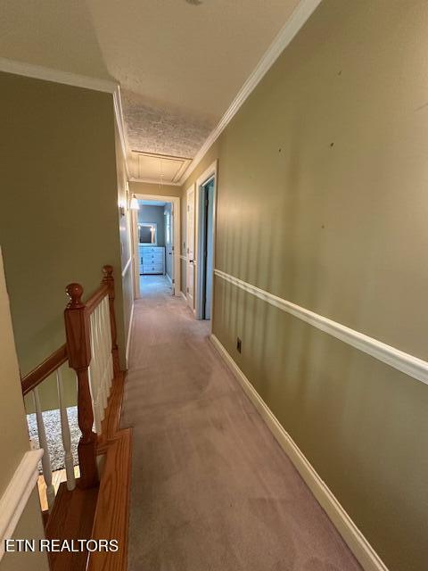 135 Modoc Avenue Northeast Wise, VA 24293 - Photo 46 of 55 hallway