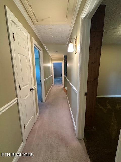 135 Modoc Avenue Northeast Wise, VA 24293 - Photo 47 of 55 hallway