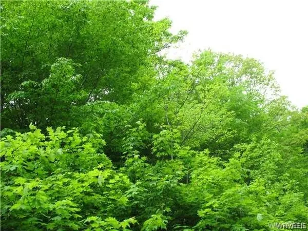 $69,900 | Vl Dublin Road, Salamanca, NY 14779