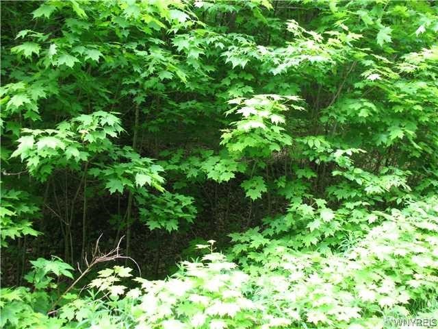 Vl Dublin Road Salamanca, NY 14779 - Photo 2 of 3