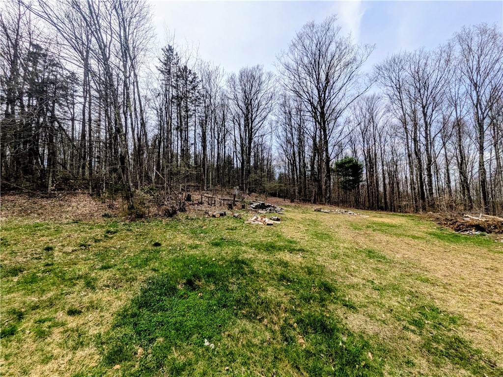 172 Albee Hill Road Van Etten, NY 14889 - Photo 24 of 27