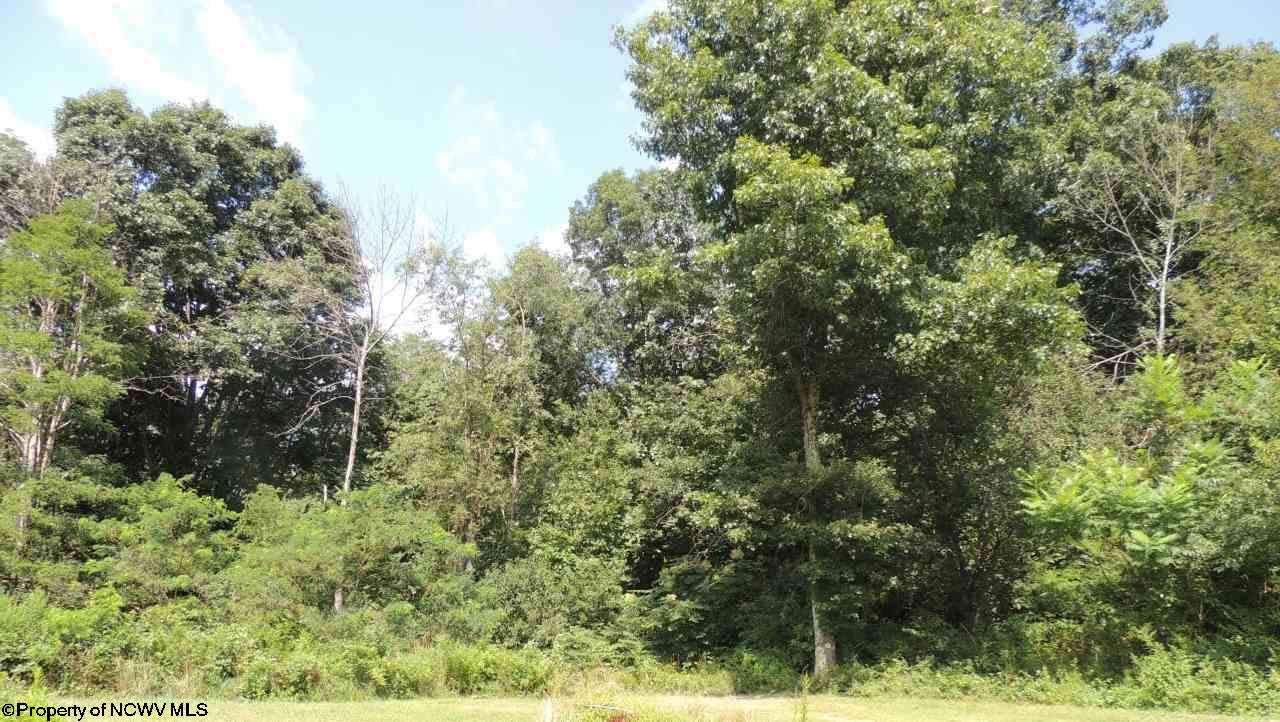 0 Hudson Road Albright, WV 26519 - Photo 9 of 14 Gallery Image 9