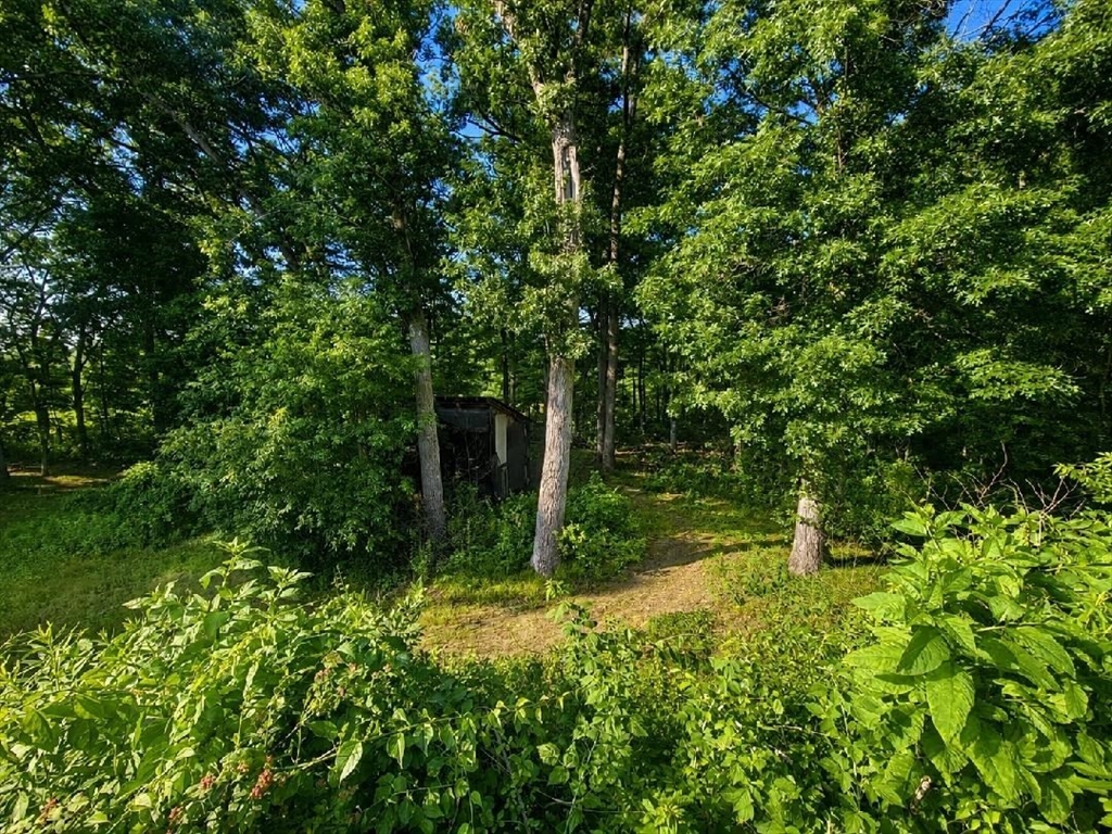 9 Cold Spring Road North Reading, MA 01864 - Photo 14 of 17