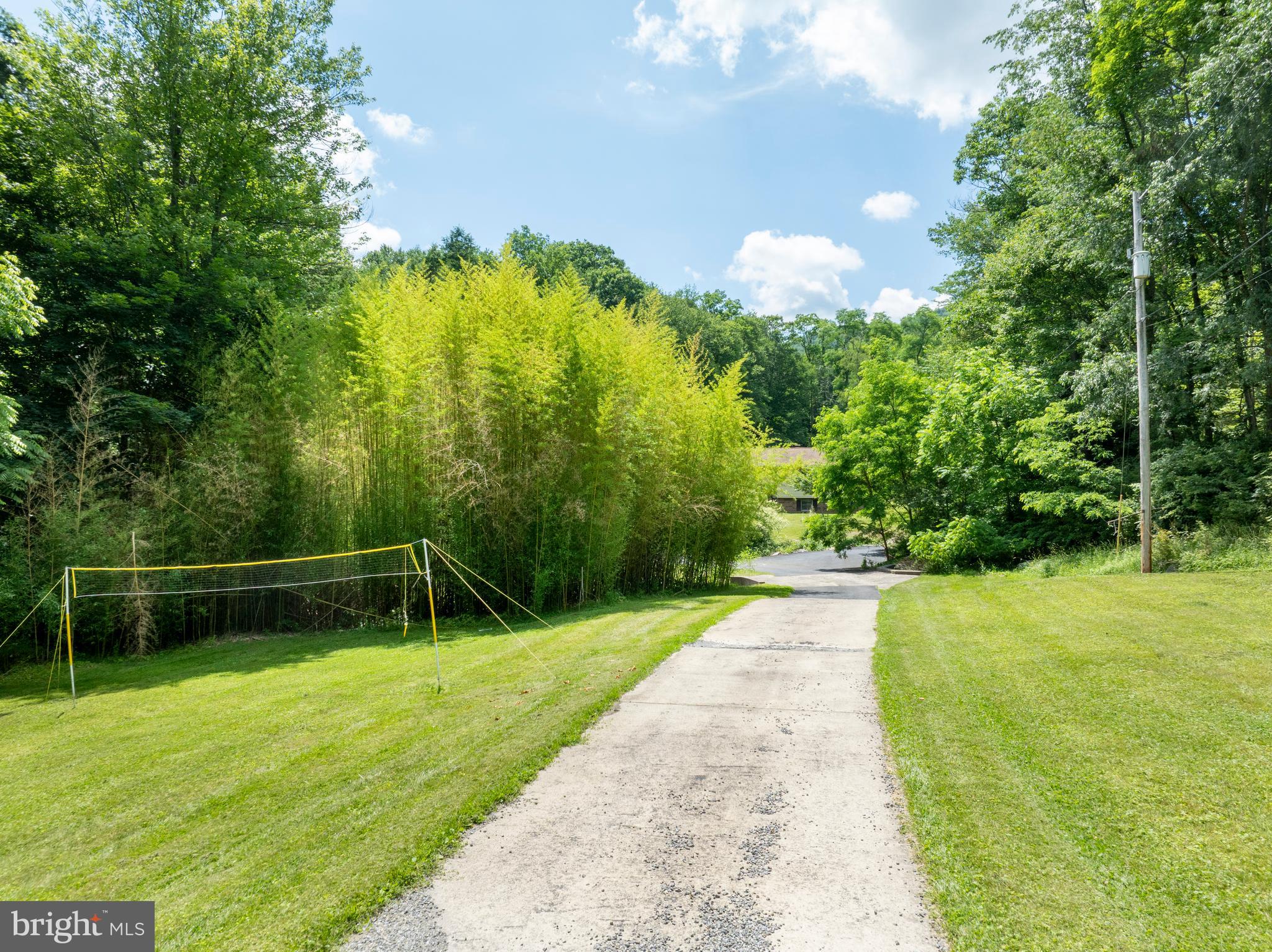 1425 Steele Hollow Road Julian, PA 16844 - Photo 6 of 63