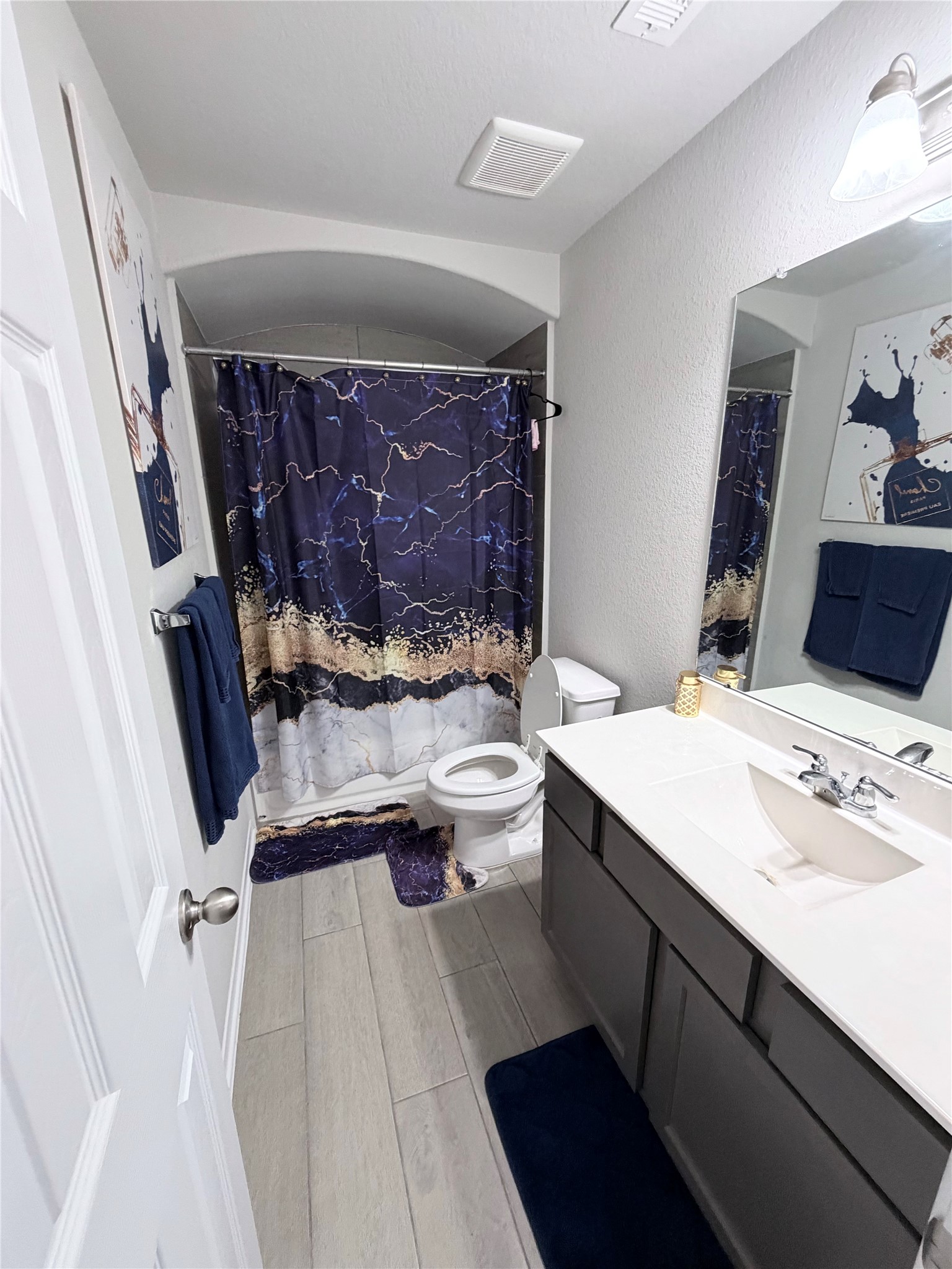 4303 Greeley Lane Rosenberg, TX 77471 - Photo 24 of 30 a bathroom with a sink a toilet a mirror and shower