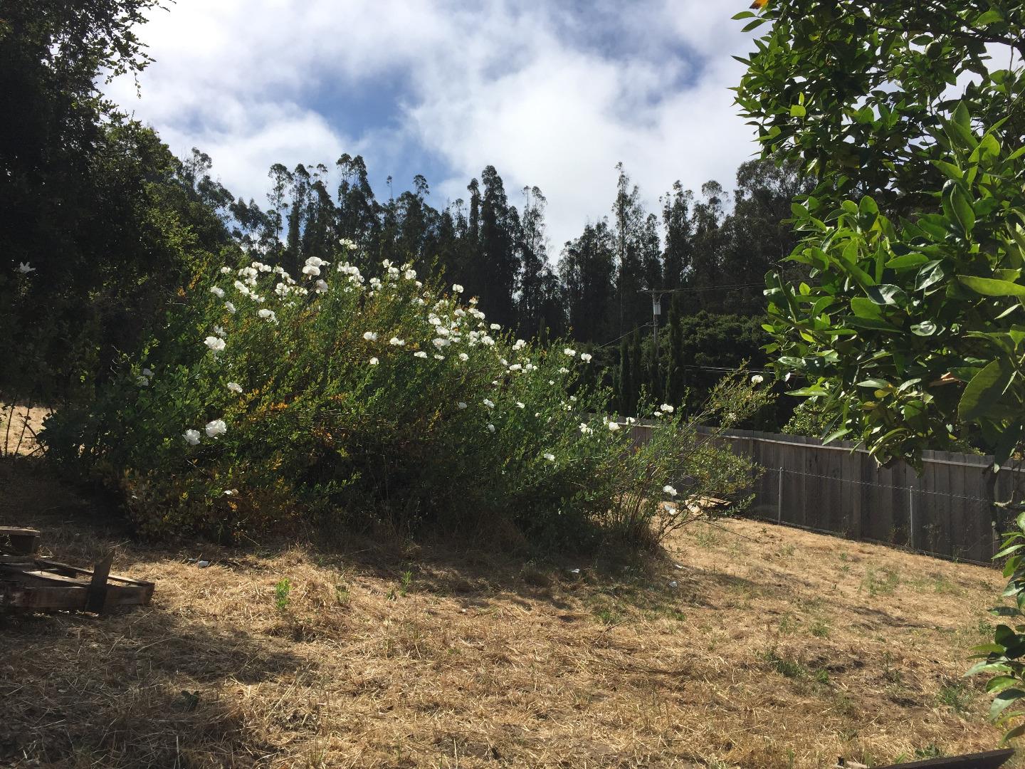 392 Vega Road Watsonville, CA 95076 - Photo 7 of 38 a view of a yard with plants and trees