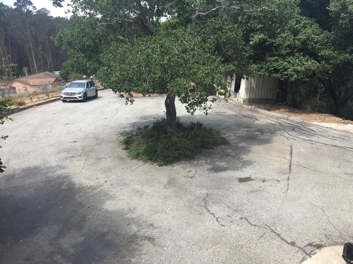 392 Vega Road Watsonville, CA 95076 - Photo 10 of 38 a view of a fire pit with large trees