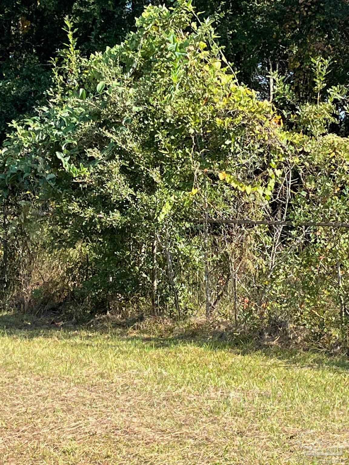 5950 Frank Reeder Road Pensacola, FL 32526 - Photo 6 of 17 Gallery Image 6