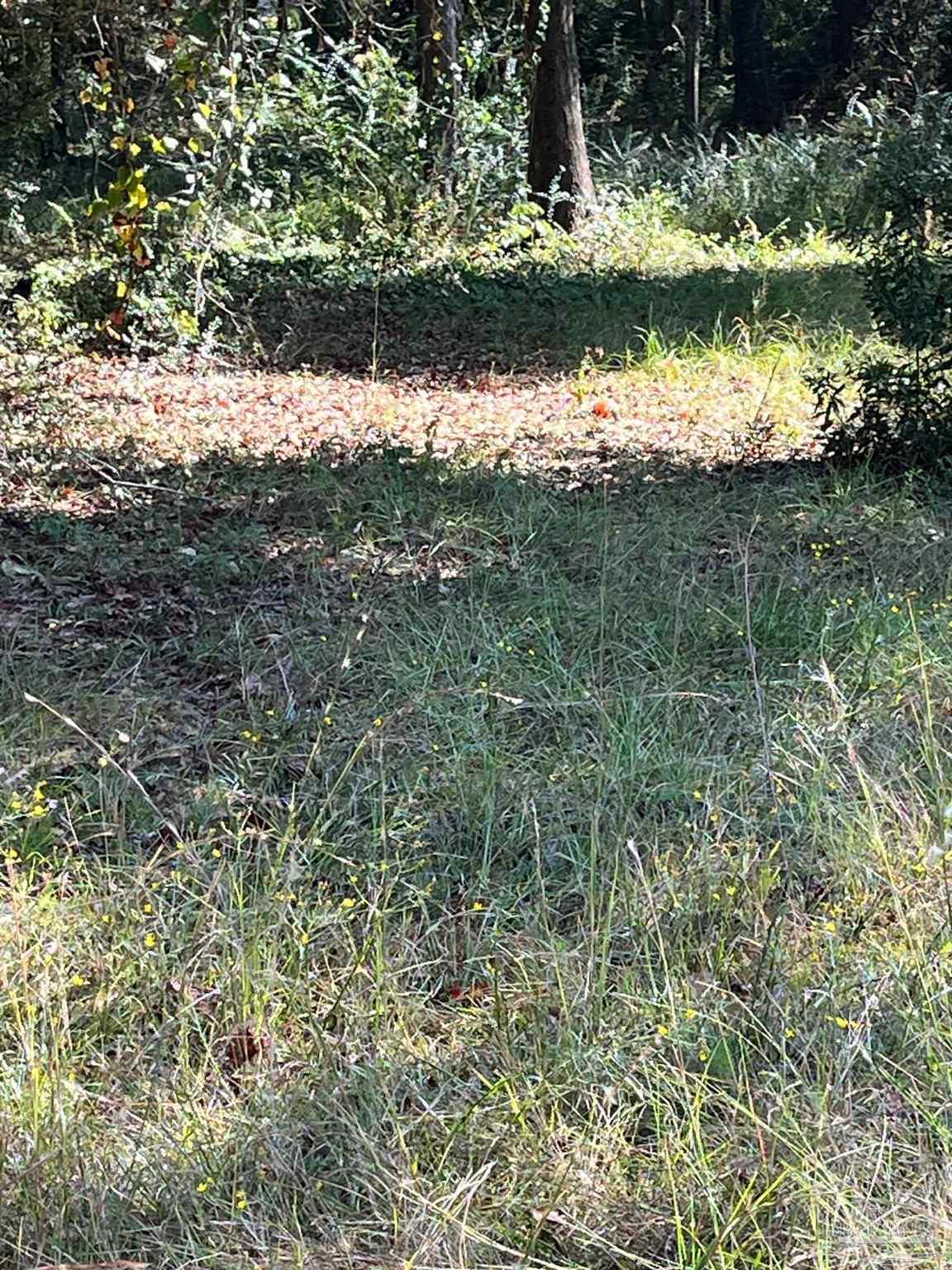 5950 Frank Reeder Road Pensacola, FL 32526 - Photo 7 of 17 Gallery Image 7