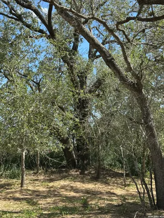 $2,200 | 5161 Cr302, Floresville, TX 78114