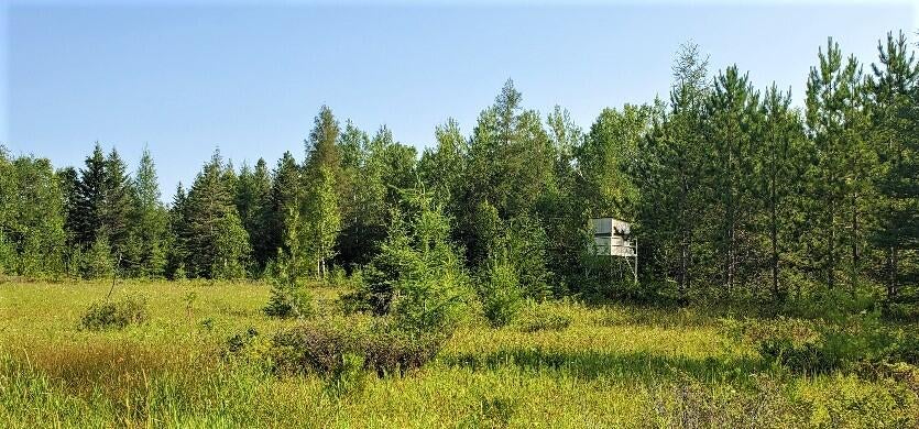 6510 Haken Road Alpena, MI 49707 - Photo 18 of 24 Gallery Image 18