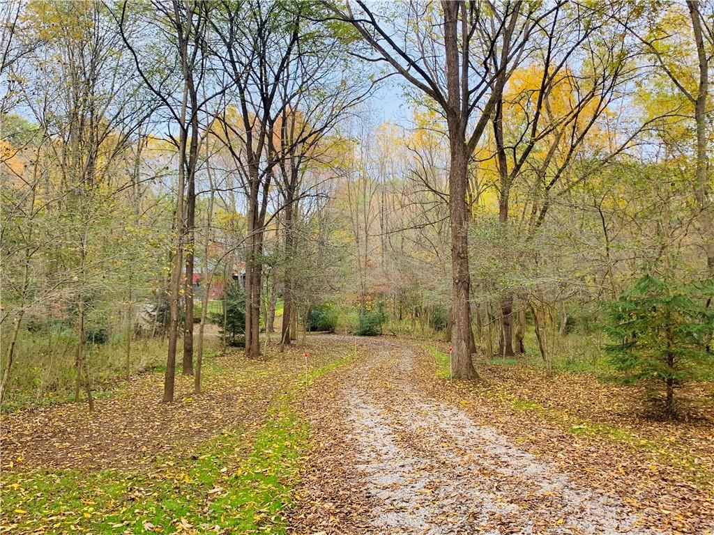 232 Devils Backbone Road New Castle, PA 16102 - Photo 19 of 25 a view of a yard with trees
