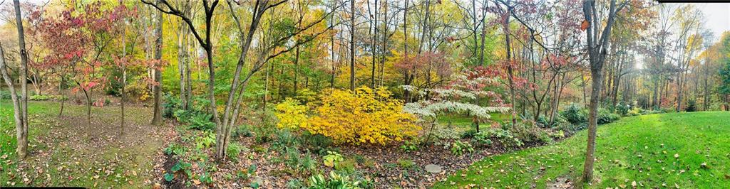 232 Devils Backbone Road New Castle, PA 16102 - Photo 23 of 25 a view of forest