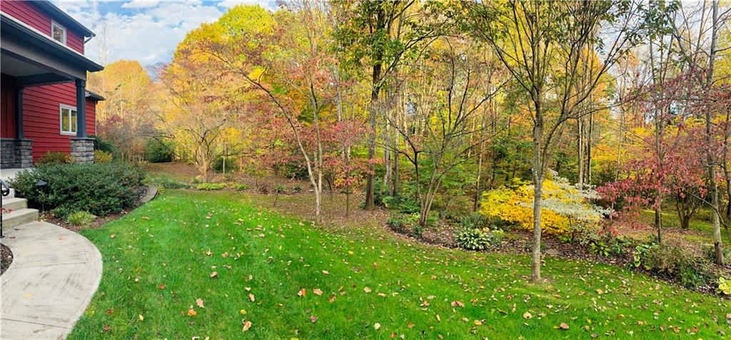 232 Devils Backbone Road New Castle, PA 16102 - Photo 4 of 25 a view of yard with green space