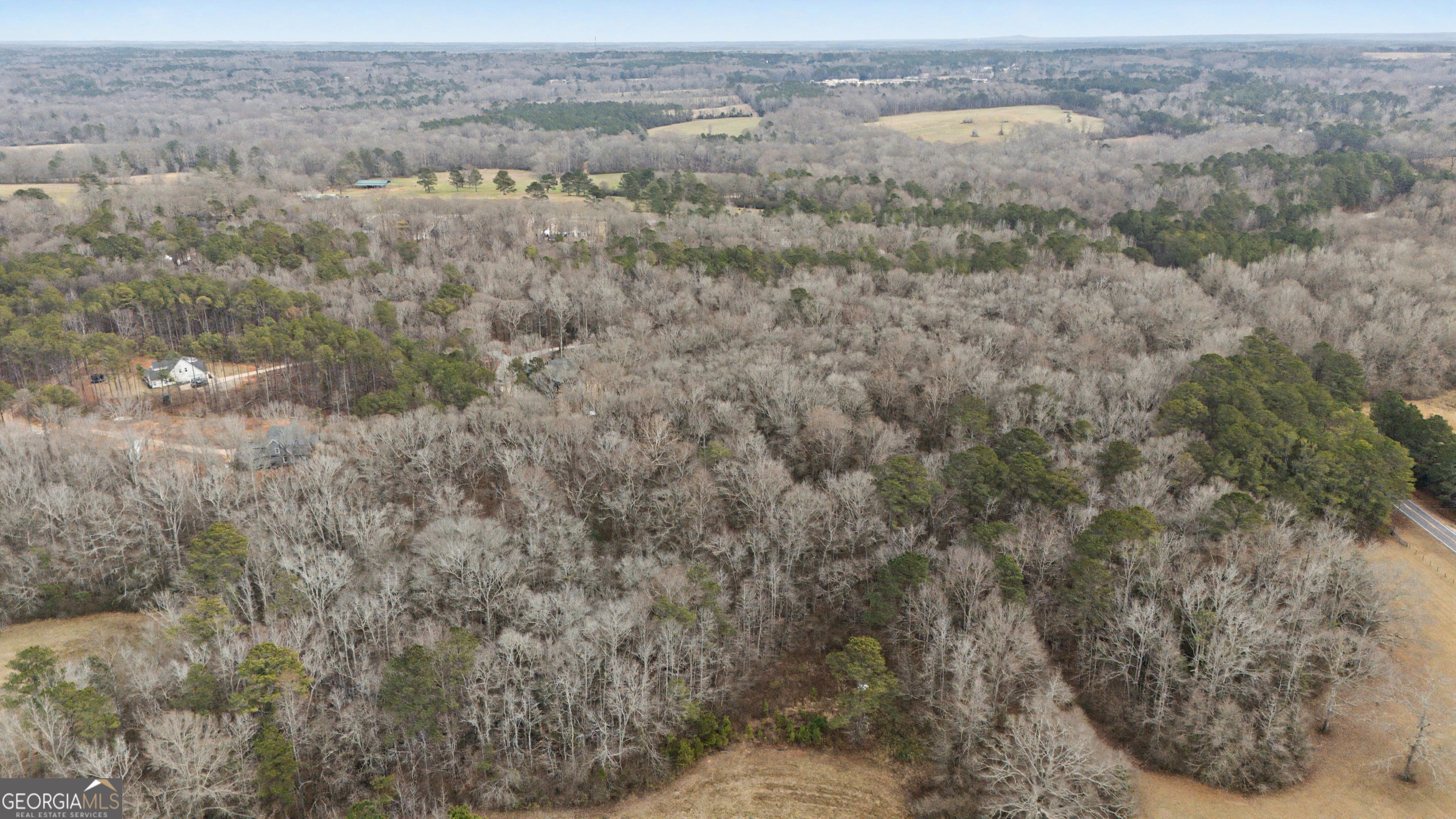 1501 Williamson Zebulon Road Williamson, GA 30292 - Photo 39 of 43