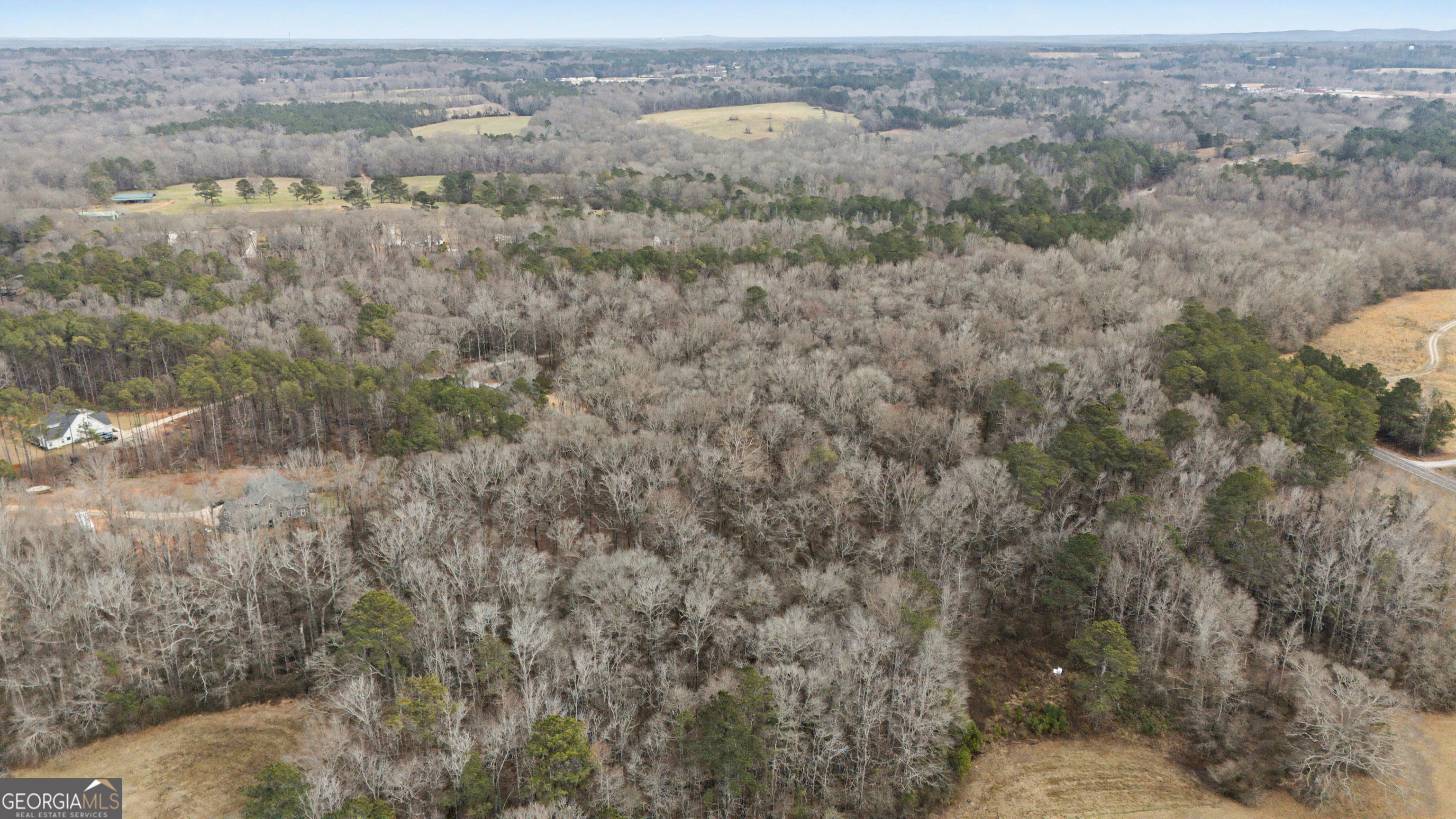 1501 Williamson Zebulon Road Williamson, GA 30292 - Photo 40 of 43