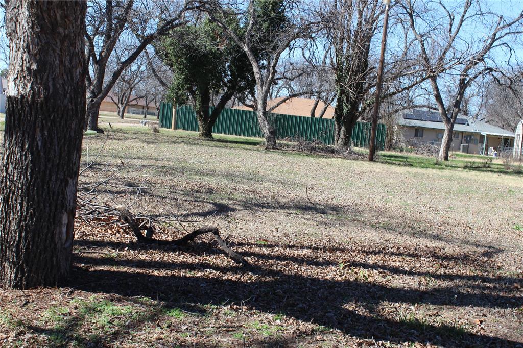 220 Rusk Street Clyde, TX 79510 - Photo 4 of 11 a view of a yard with plants and trees