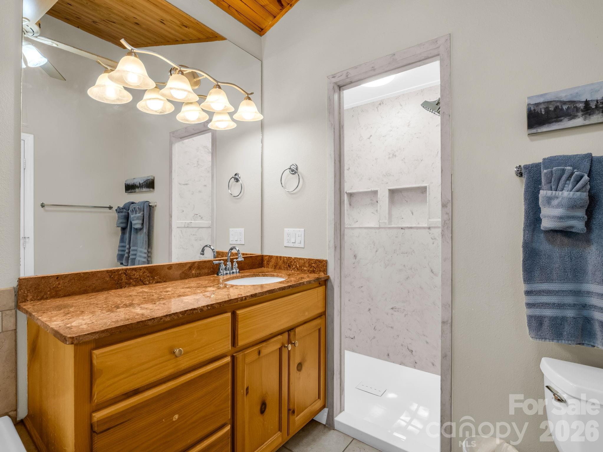 165 Dream Road Hendersonville, NC 28792 - Photo 35 of 46 a bathroom with a granite countertop sink a mirror and a shower