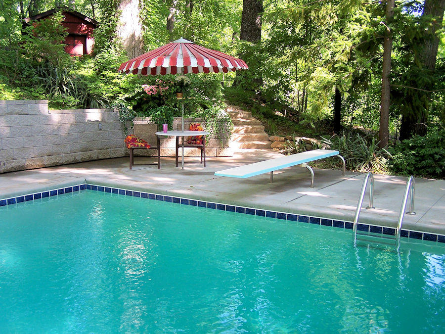 804 South Shiloh Road Seymour, TN 37865 - Photo 34 of 39 10ft deep pool