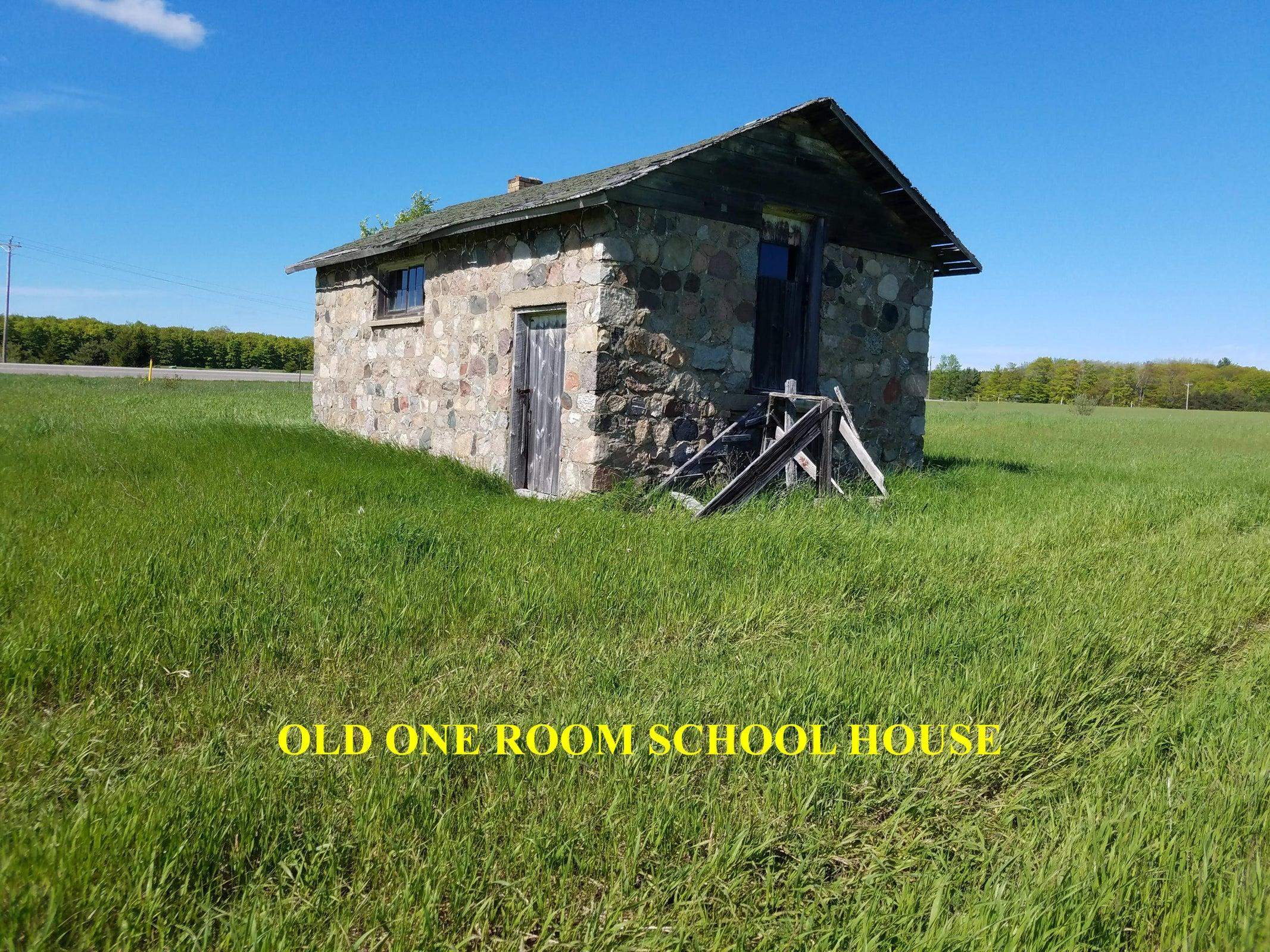 V/l Mancelona Road Gaylord, MI 49735 - Photo 3 of 9