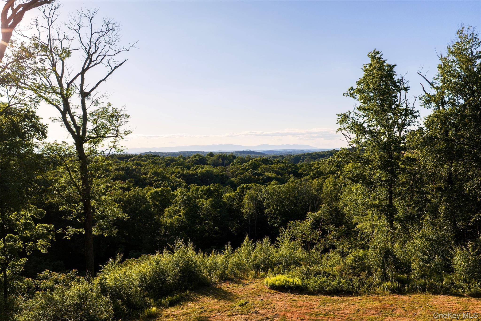 Mallory Road Verbank, NY 12585 - Photo 11 of 16