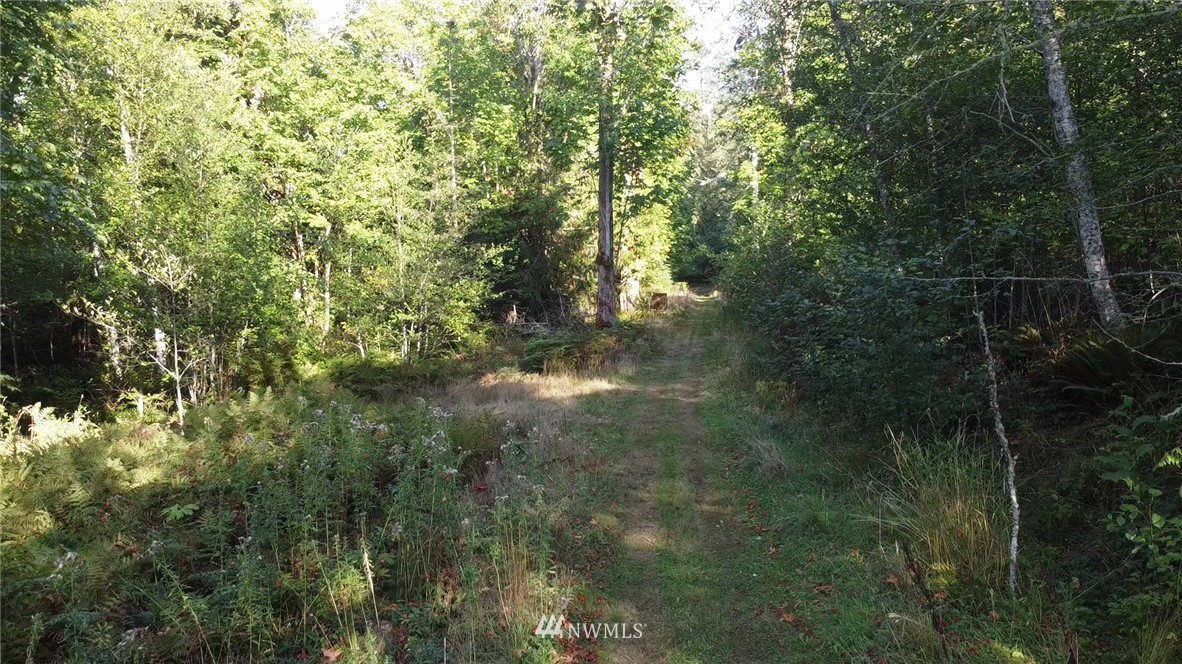 9999 Fors Road, Unit LOT 5 Port Angeles, WA 98363 - Photo 7 of 8 Gallery Image 7