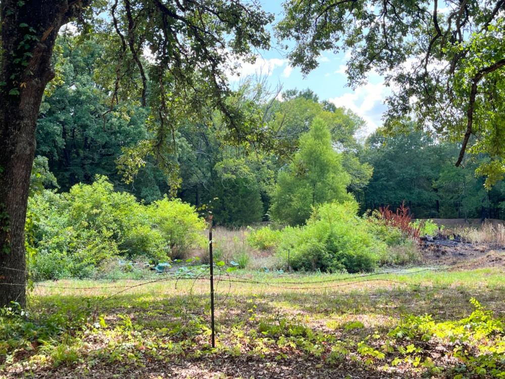 1038 Sandy Oaks Road Quinlan, TX 75474 - Photo 22 of 23