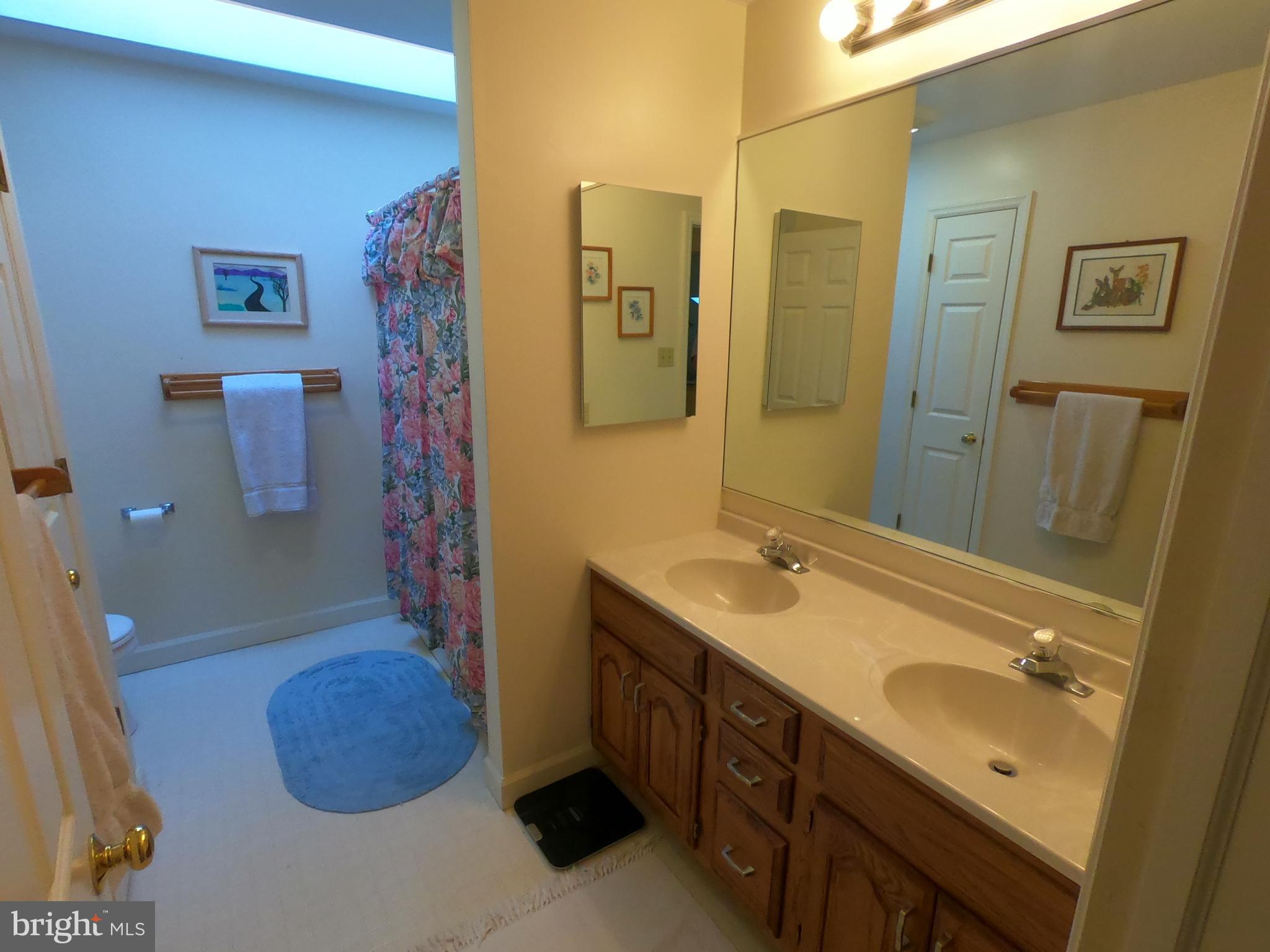124 Grande Boulevard Sinking Spring, PA 19608 - Photo 29 of 44 Hall Bath